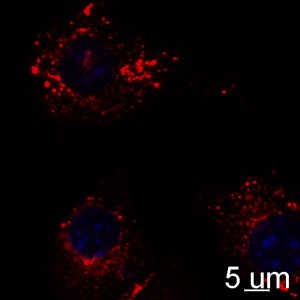 070915e_4_g7_2_001_v2